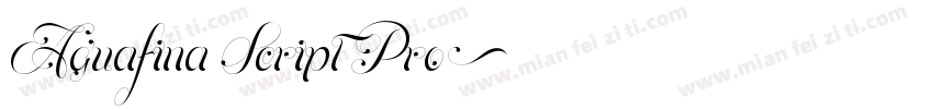 Aguafina Script Pro字体转换